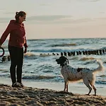 Trzy Czajki Pansiyon Wicie (West Pomeranian)