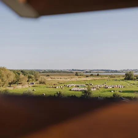 Trzy Czajki 홈스테이 *